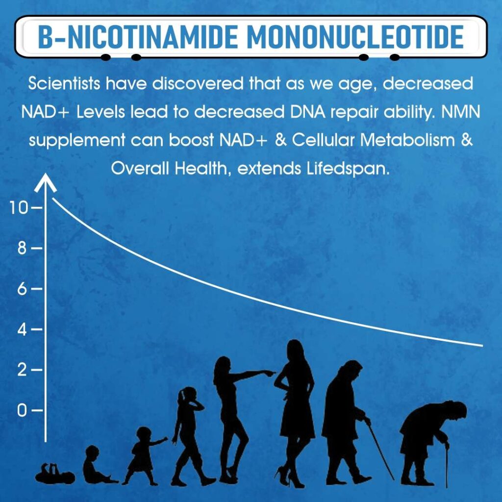 NAD booster, NMN PRO+600, Nicotinamide supplements, NAD+ booster supplement, Nicotinamide supplements, Best anti-aging supplements, Nicotinamide vitamin