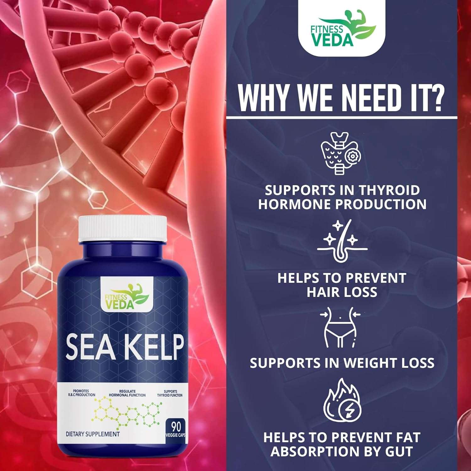 71CR1990Y9L._SL1500_